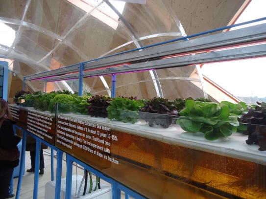 binnen rijkspaviljoen floriade